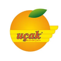 uçak kardeşler